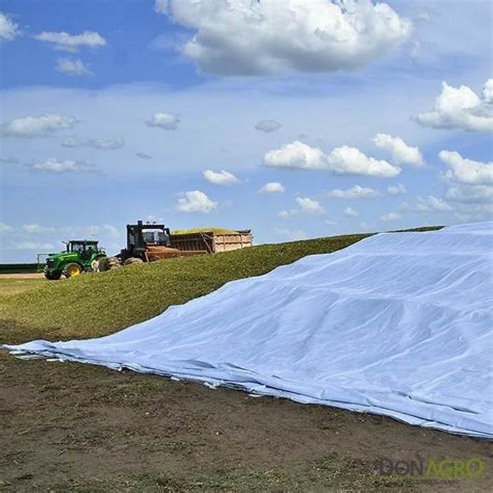 Géotextile pour prévenir l'érosion du sol