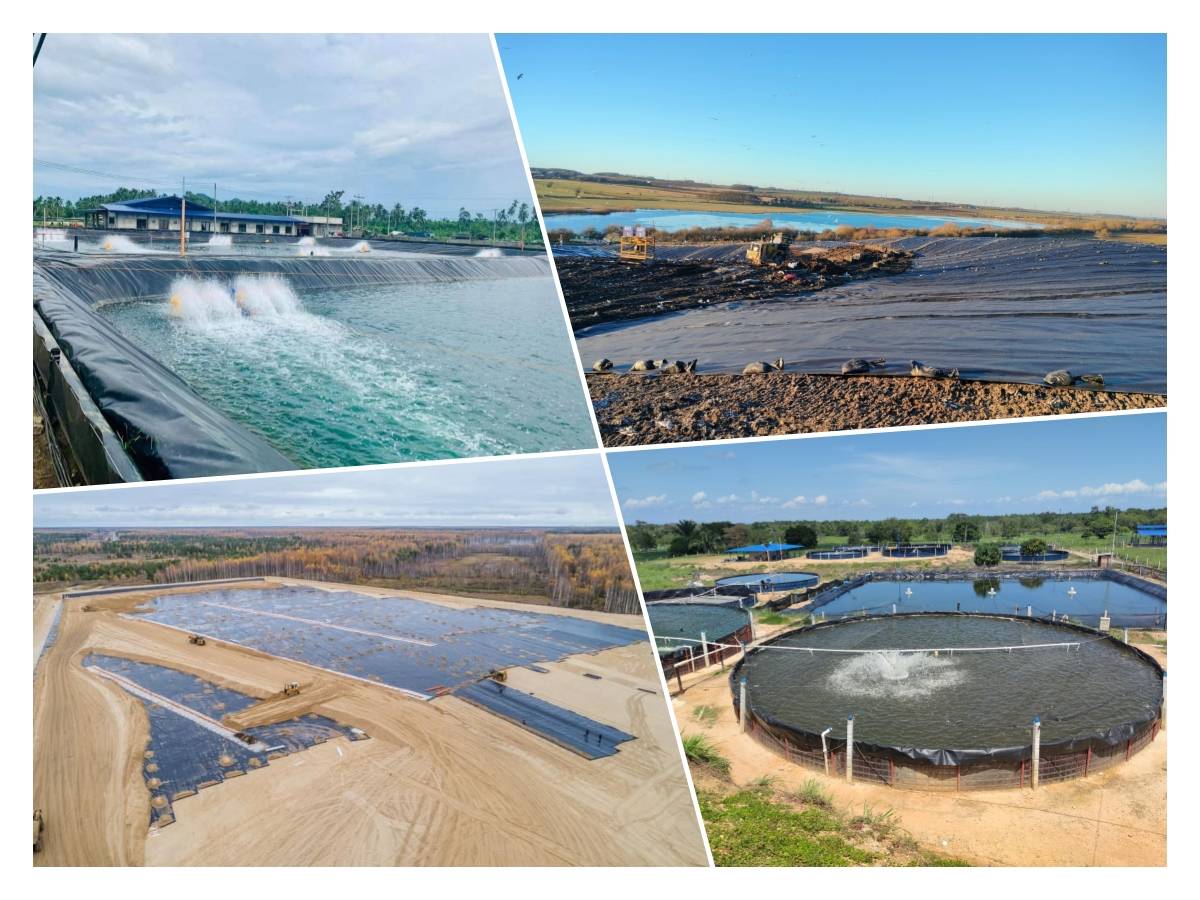 1715145730625958.jpg 984456.jpg