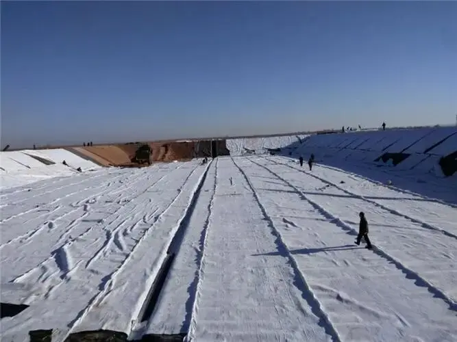 জিওমেমব্রেন Geomembrane