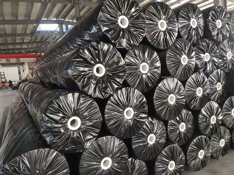 HDPE Geomembrane HDPE Geomembrane