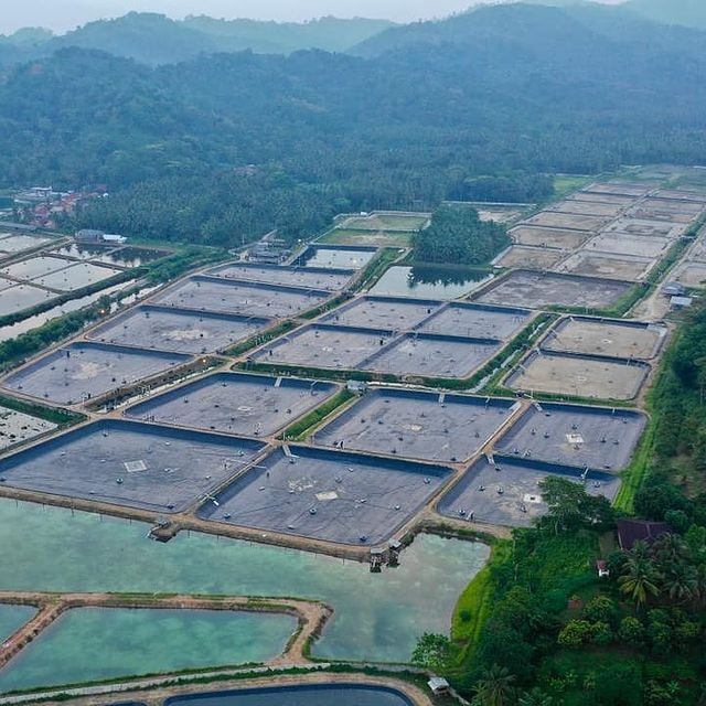 Landfill Liners: HDPE Geomembrane is widely used as the primary barrier in landfill liner systems, preventing the potential leakage of hazardous substances into the soil and groundwater.  Pond and Canal Liners: It is an ideal choice for constructing liners in ponds, reservoirs, canals, and wastewater treatment facilities. The geomembrane effectively retains water, prevents seepage, and maintains water quality.  Mining and Environmental Applications: HDPE Geomembrane plays a crucial role in mining operations by functioning as a liner in tailing ponds, heap leach pads, and acid mine drainage control systems. It is also vital in environmental protection applications, such as liquid containment in chemical storage tanks and secondary containment systems.  Agriculture: In agriculture, HDPE Geomembrane is used as a lining material for water storage tanks, irrigation channels, and fish ponds, ensuring efficient water use and preventing soil erosion. Landfill Liners: HDPE Geomembrane is widely used as the primary barrier in landfill liner systems, preventing the potential leakage of hazardous substances into the soil and groundwater.  Pond and Canal Liners: It is an ideal choice for constructing liners in ponds, reservoirs, canals, and wastewater treatment facilities. The geomembrane effectively retains water, prevents seepage, and maintains water quality.  Mining and Environmental Applications: HDPE Geomembrane plays a crucial role in mining operations by functioning as a liner in tailing ponds, heap leach pads, and acid mine drainage control systems. It is also vital in environmental protection applications, such as liquid containment in chemical storage tanks and secondary containment systems.  Agriculture: In agriculture, HDPE Geomembrane is used as a lining material for water storage tanks, irrigation channels, and fish ponds, ensuring efficient water use and preventing soil erosion.