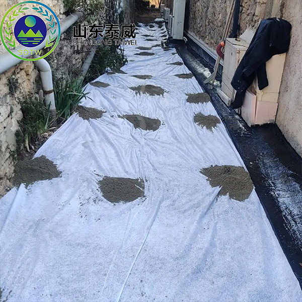 High Strength Road Stabilization Fabric Woven PET Geotextile High Strength Road Stabilization Fabric Woven PET Geotextile